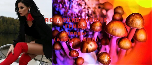 индика Богородицк