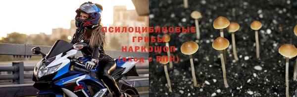 ALPHA PVP Богородск