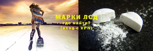 индика Богородицк