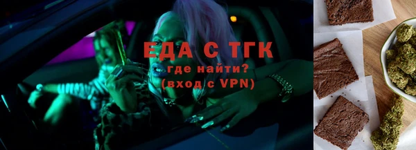 индика Богородицк