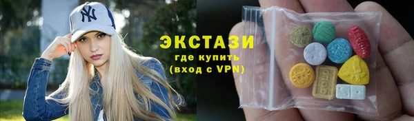 индика Богородицк