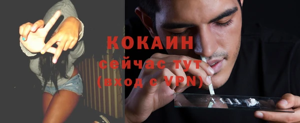 индика Богородицк