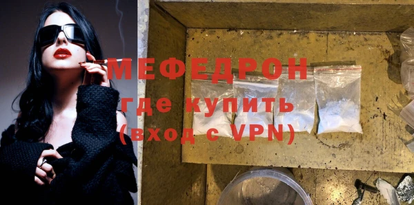 индика Богородицк