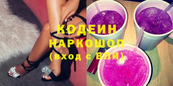 индика Богородицк