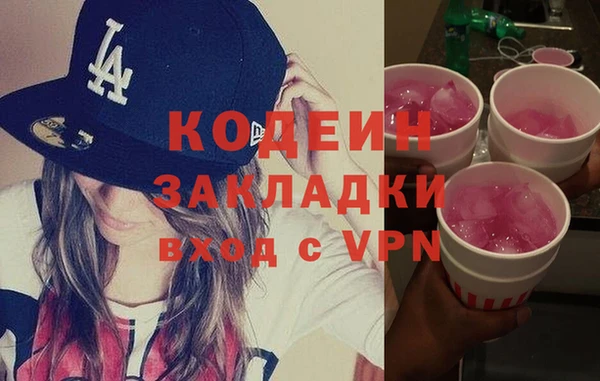 индика Богородицк