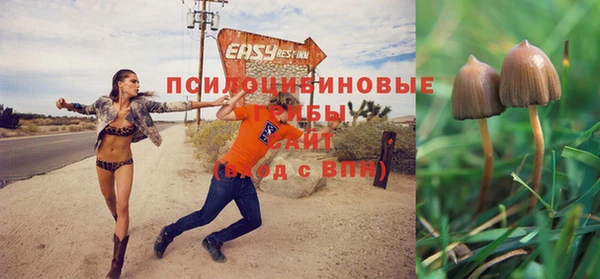 мескалин Богданович