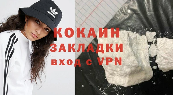 индика Богородицк