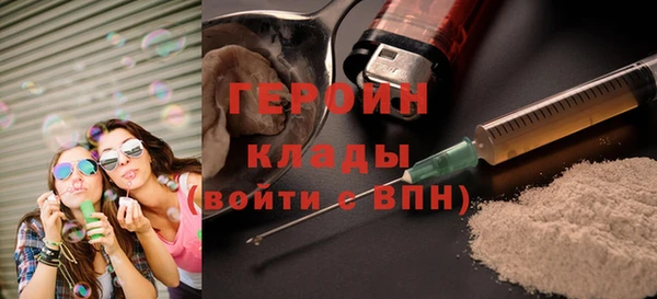 индика Богородицк