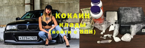 мескалин Богданович