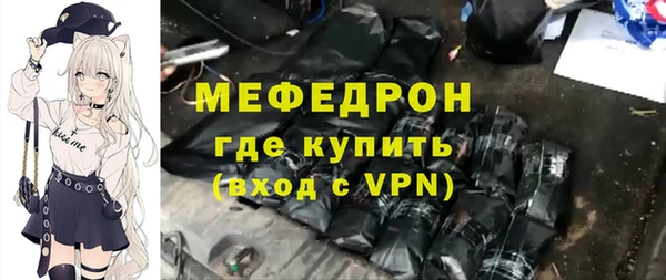 индика Богородицк