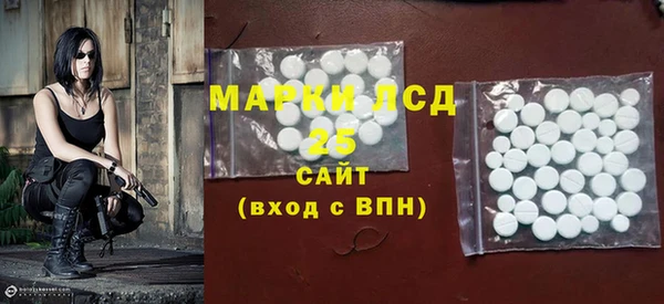 индика Богородицк