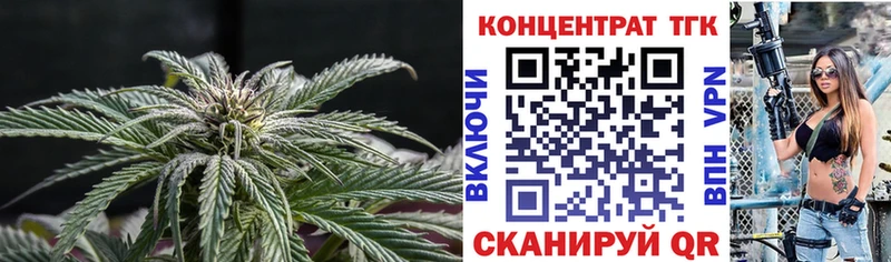где можно купить   Вяземский  ТГК гашишное масло 