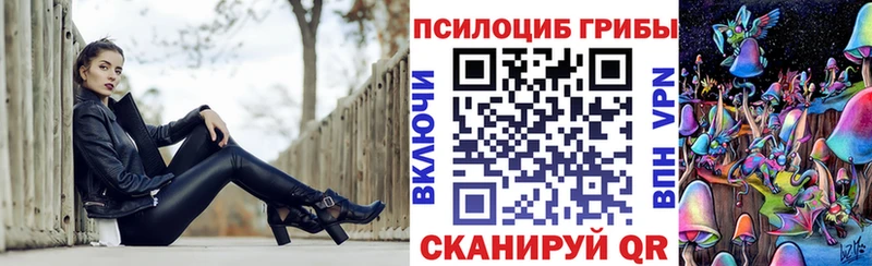 Галлюциногенные грибы Cubensis ОМГ ОМГ зеркало Вяземский что такое наркотик